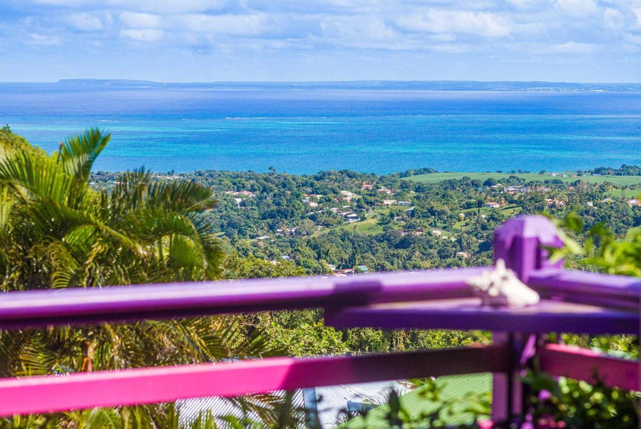 Piton Bungalows Ecolodges Deshaies Buitenkant foto