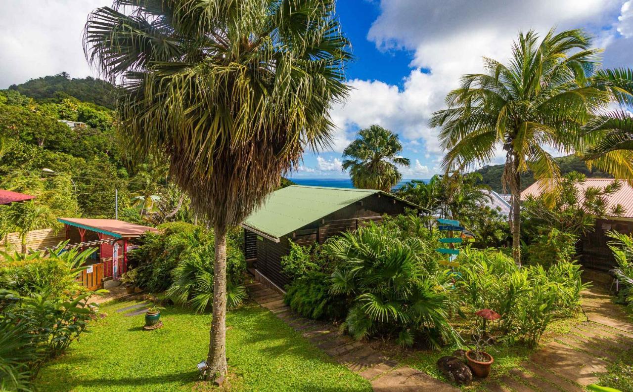 Piton Bungalows Ecolodges Deshaies Buitenkant foto