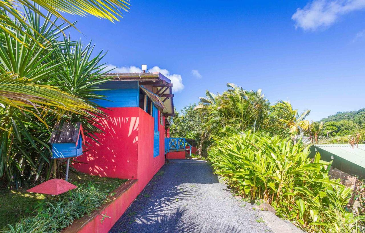 Piton Bungalows Ecolodges Deshaies Buitenkant foto