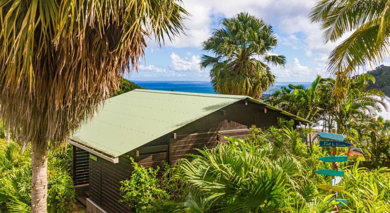 Piton Bungalows Ecolodges Deshaies Buitenkant foto