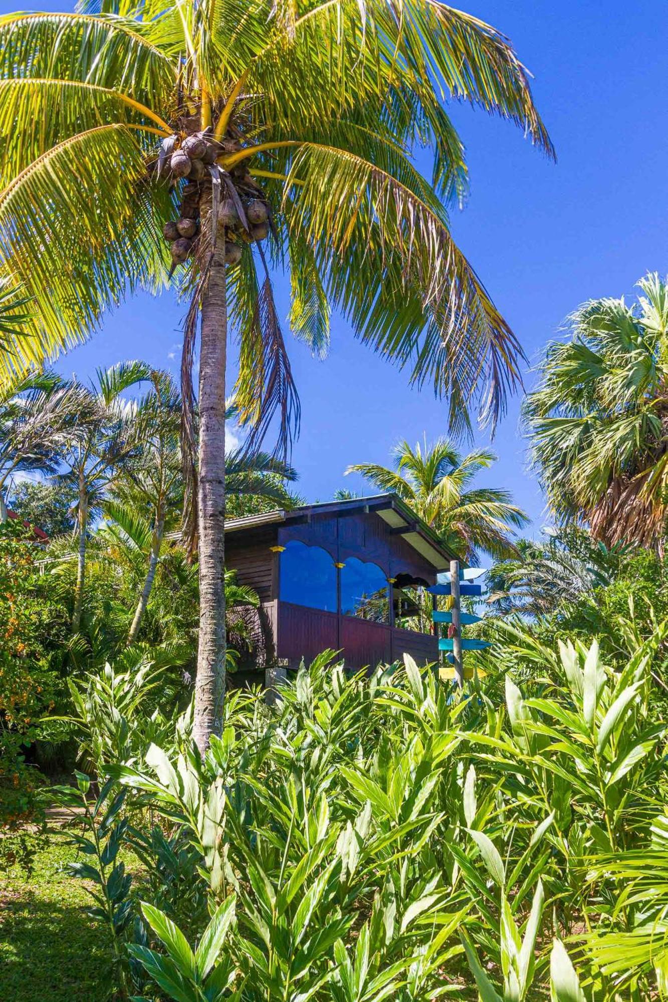 Piton Bungalows Ecolodges Deshaies Buitenkant foto