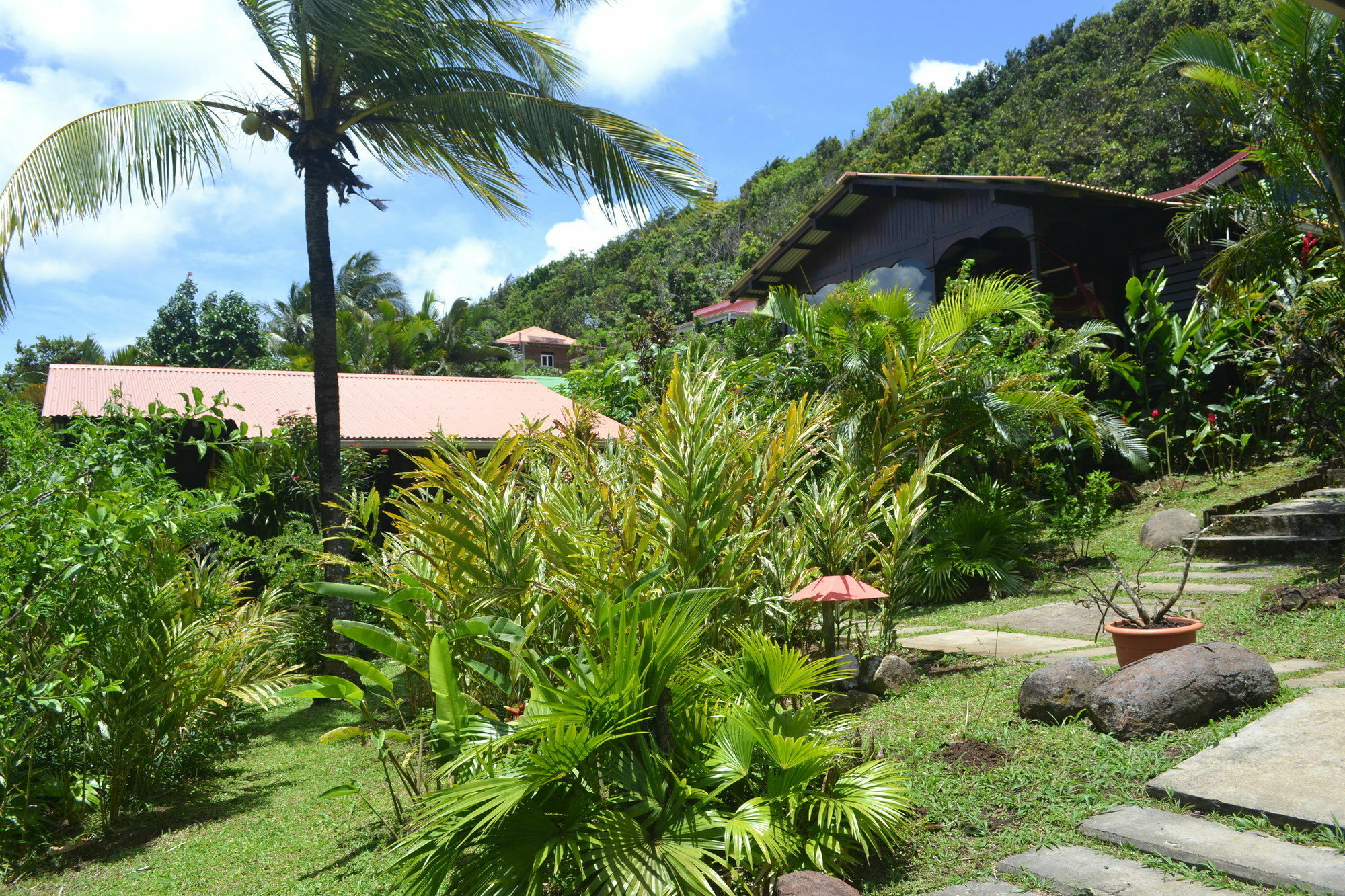 Piton Bungalows Ecolodges Deshaies Buitenkant foto