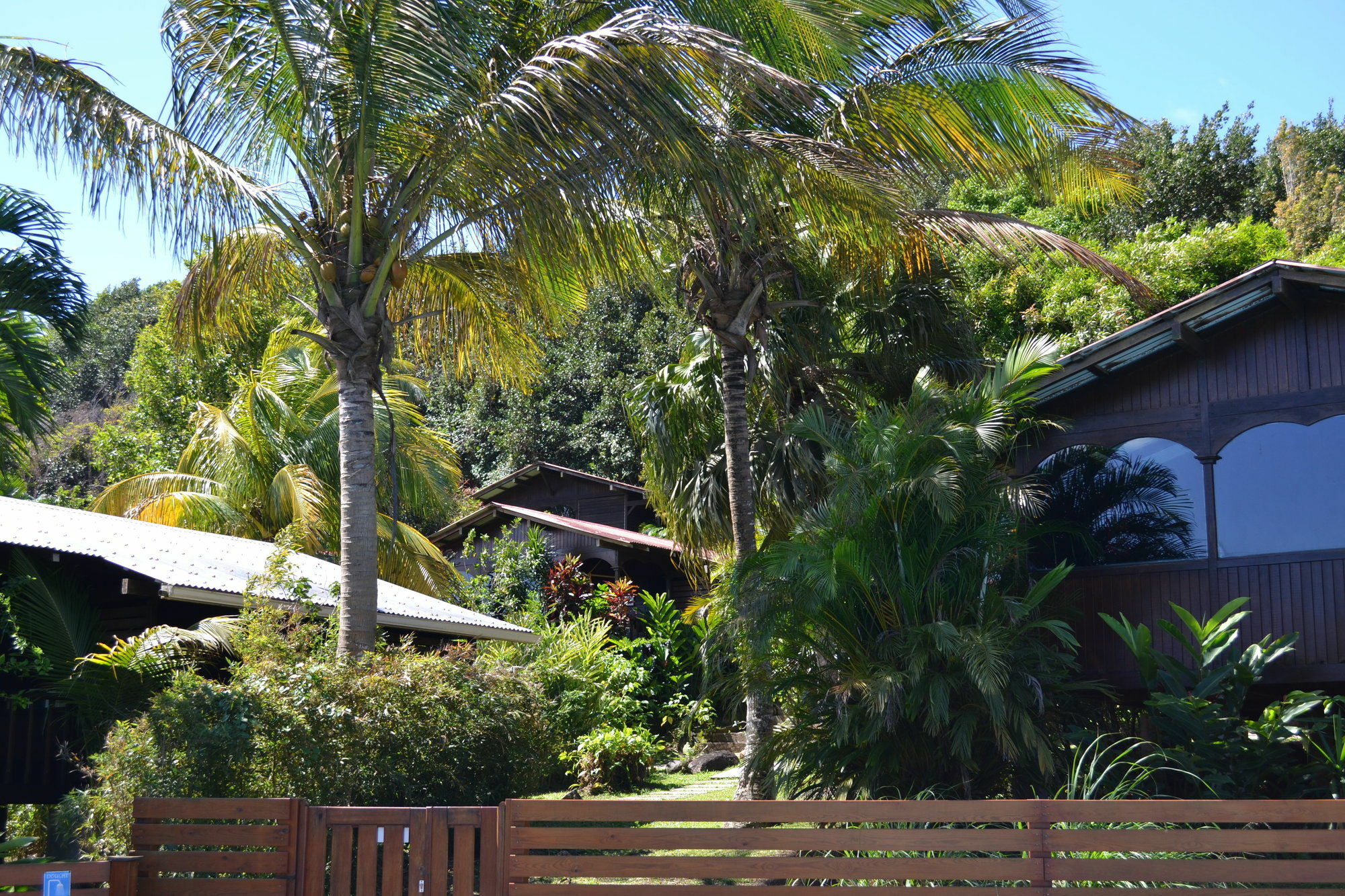 Piton Bungalows Ecolodges Deshaies Buitenkant foto
